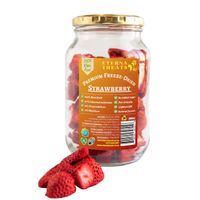Eterna Treats Freeze Dried Stawberries